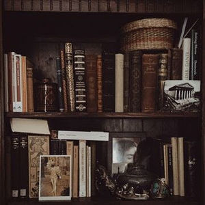 Meet your Posher, Molly